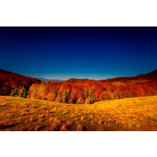  Natura92 öntapadós tapéta, 250 x 200 cm tapéta, díszléc és más dekoráció