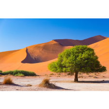  Natura93 öntapadós tapéta, 250 x 150 cm tapéta, díszléc és más dekoráció