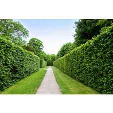  Natura94 öntapadó és mosható fali tapéta, 250 x 150 cm tapéta, díszléc és más dekoráció