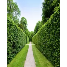  Natura94 öntapadós tapéta, 150 x 205 cm tapéta, díszléc és más dekoráció