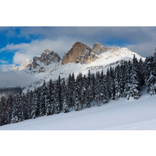  Natura95 öntapadó és mosható fali tapéta, 400 x 250 cm tapéta, díszléc és más dekoráció