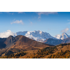  Natura99 öntapadó és mosható fali tapéta, 250 x 150 cm tapéta, díszléc és más dekoráció