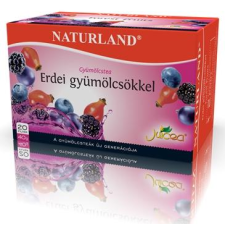 Naturland Juicea gyümölcstea erdei gyümölcsökkel 20db gyógytea