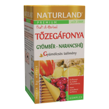 Naturland Naturland gyümölcstea tőzegáfonya-gyömbér narancshéj 20x2g 40 g tea