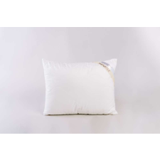 NATURTEX Bambusz kispárna 40x50 cm 300g lakástextília