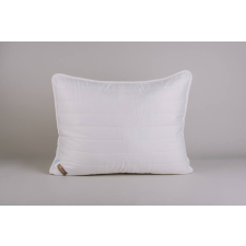 NATURTEX Félpárna TENCEL 50x70cm lakástextília