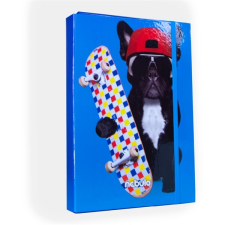 Nebulo Deszkás bulldog A4 füzetbox (P-FB-A4-DESZKÁSBULLD) füzetbox