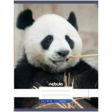 Nebulo : Panda sima füzet A4 80-32 füzet