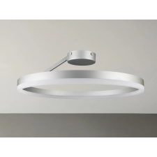 Nedes LED mennyezeti lámpa + távvezérlő 40W - TA1313/S világítás