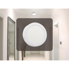 Nedes LED panel 12W, 4000K természetes fehér, Ø172x35 mm, IP20 - LPL323 világítás