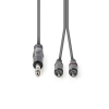 Nedis JACK - RCA Sztereó audiokábel 3.0m (6.35mm jack apa - 2xRCA apa) Szürke