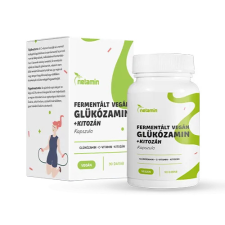 Netamin Fermentált Vegán Glükozamin + Kitozán kapszula 90 db vitamin és táplálékkiegészítő