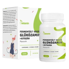 Netamin fermentált vegán Glükozamin+Kitozán kapszula 90db vitamin és táplálékkiegészítő