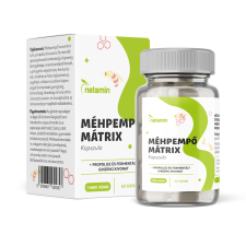 Netamin Méhpempő Mátrix kapszula + propolisz és fermentált ginzeng vitamin és táplálékkiegészítő