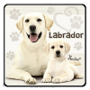 Nevlini Kutyás hűtőmágnes, Labrador