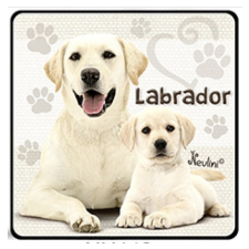 Nevlini Kutyás hűtőmágnes, Labrador ajándéktárgy