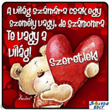 Nevlini Szerelmes hűtőmágnes, A világ számára csak egy személy vagy hűtőmágnes