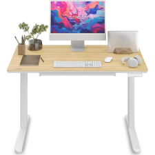 Newai állítható magasságú elektromos íróasztal, 120x60cm, bézs íróasztal