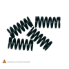 NEWFREN Kuplungrugó Készlet Minarelli APRILIA RS, RIEJU RR,RS1, YAMAHA TZR 50 97-05
