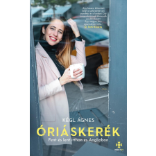 Next21 Óriáskerék regény