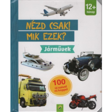  Nézd csak! Mik ezek? - Járművek gyermek- és ifjúsági könyv