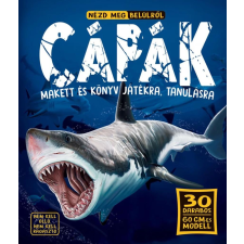  - Nézd meg belülről - Cápák gyermek- és ifjúsági könyv