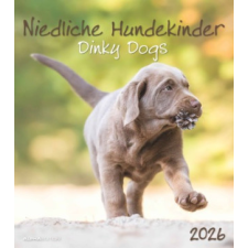  Niedliche Hundekinder 2026 - Wand-Kalender - Tier-Kalender - 30x34 naptár, kalendárium
