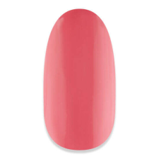 NiiZA Gel Polish 4ml - 173 lakk zselé