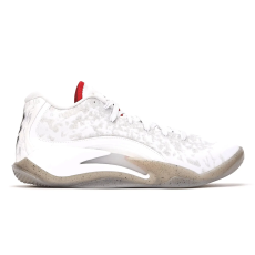  Nike Air Jordan Zion 3
