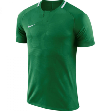 Nike Dry Challenge 2 férfi póló, zöld, M