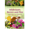 Nikol Verlagsges.mbH Wildkräuter, Beeren und Pilze – Wolfgang Dreyer