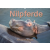  Nilpferde, Kolosse im Wasser (Wandkalender 2022 DIN A2 quer)