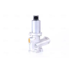 Nissens AGR-szelep 98210 autóalkatrész