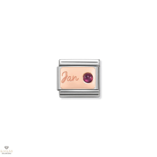 Nomination &quot;Születéskő Január&quot; charm - 430508-01 egyéb ékszer