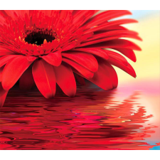 Nonbrand Fotótapéta Gerbera tapéta, díszléc és más dekoráció