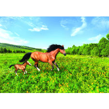 Nonbrand Fotótapéta Lovak 2 tapéta, díszléc és más dekoráció