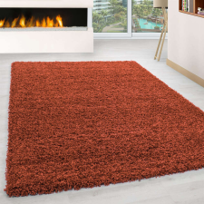 Nonbrand LIFE Szőnyeg - Terra - Shaggy - 300x400 cm lakástextília