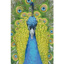 Nonbrand Pixel szett 30 normál alaplappal, színekkel, páva (830034) kreatív és készségfejlesztő