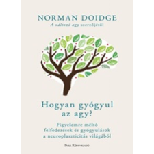 Norman Doidge - Hogyan gyógyul az agy? egyéb könyv