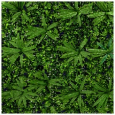 Nortene Vertical Jungle műanyag zöldfal dzsungel növényekkel (100x100 cm) dekoráció