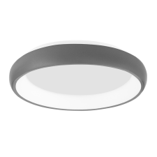 Nova Luce Albi ezüst mennyezeti lámpa (NL-8105615) LED 1 izzós IP20 világítás