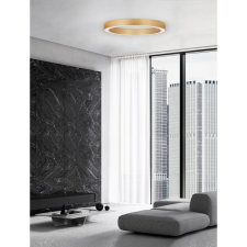 Nova Luce Opal LED NL-9345637 mennyezeti lámpa világítás