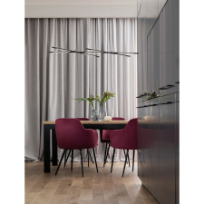 Nova Luce Raccio LED NL-9695213 függeszték világítás