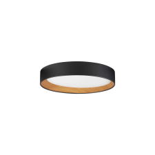 Nova Luce Stake fekete LED mennyezeti lámpa (NL-9345527) LED 1 izzós IP20 világítás