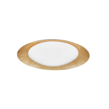 Nova Luce Zano LED mennyezeti lámpa NL-9053821 világítás