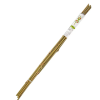  Növény karó bambusz 78cm 10db-os