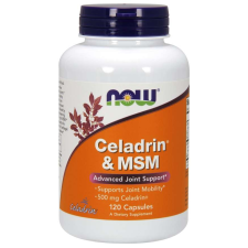 Now Foods MOST Celadrin és MSM 500 mg, 120 kapszula vitamin és táplálékkiegészítő