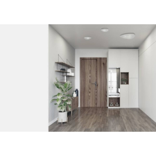 Nowodvorski TL-8304 Organic mennyezeti lámpa 12W világítás