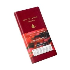  NRSV New Testament and Psalms, Burgundy Imitation leather, NR012:NP idegen nyelvű könyv