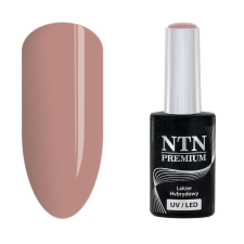 NTN Premium New - 119 műköröm zselé